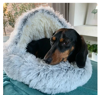 2-in-1 Cosy Pet Bed