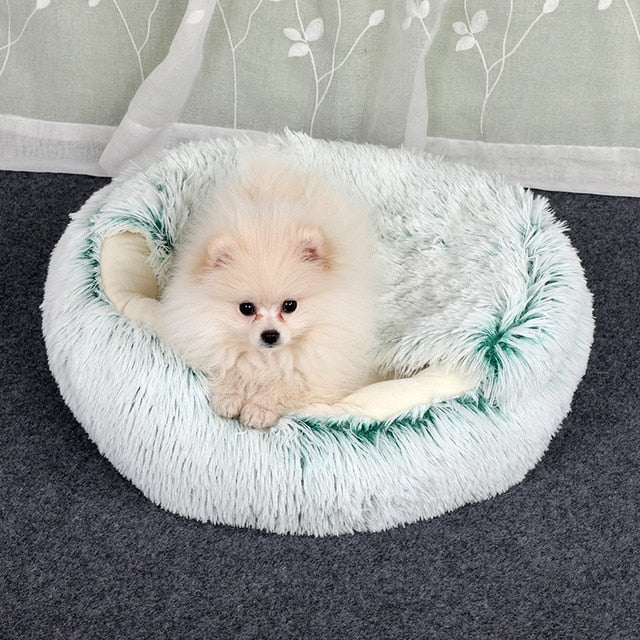 2-in-1 Cosy Pet Bed