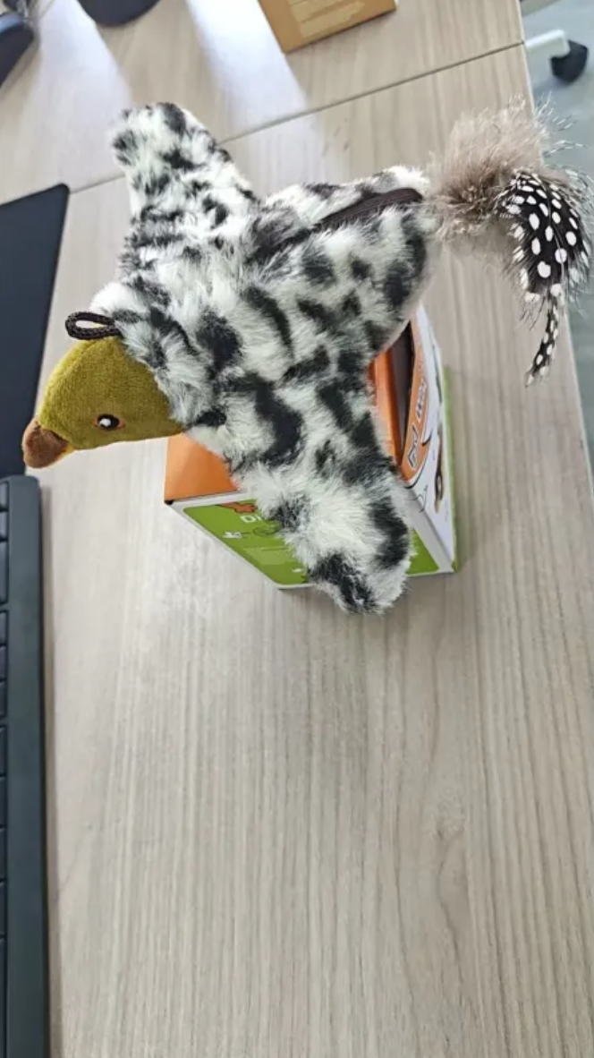 Moving Plush Bird Pet Toy